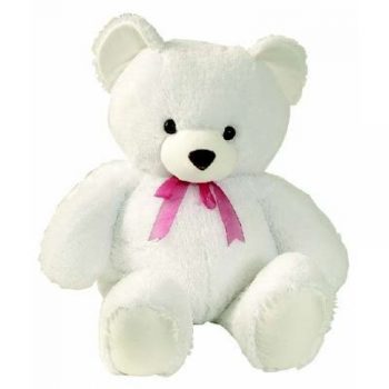 urso